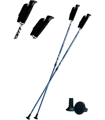 Amazon.co.jp: ProPACER プッシュアンドプルノルディックウォーキング